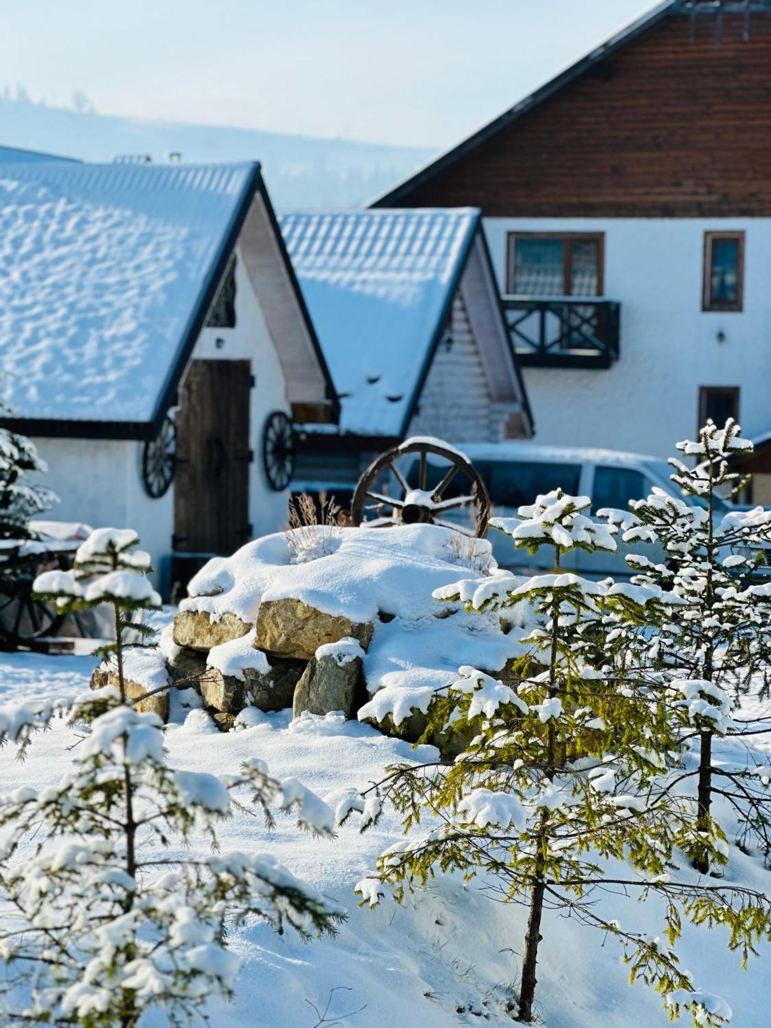 Guest House Lileya Bukovel Bagian luar foto